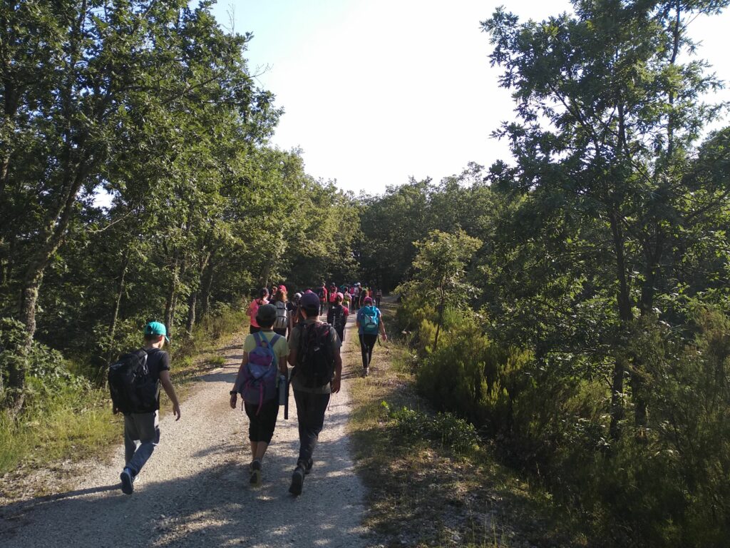 Actua Campamentos - Barbadillo Fun Camp - Excursiones